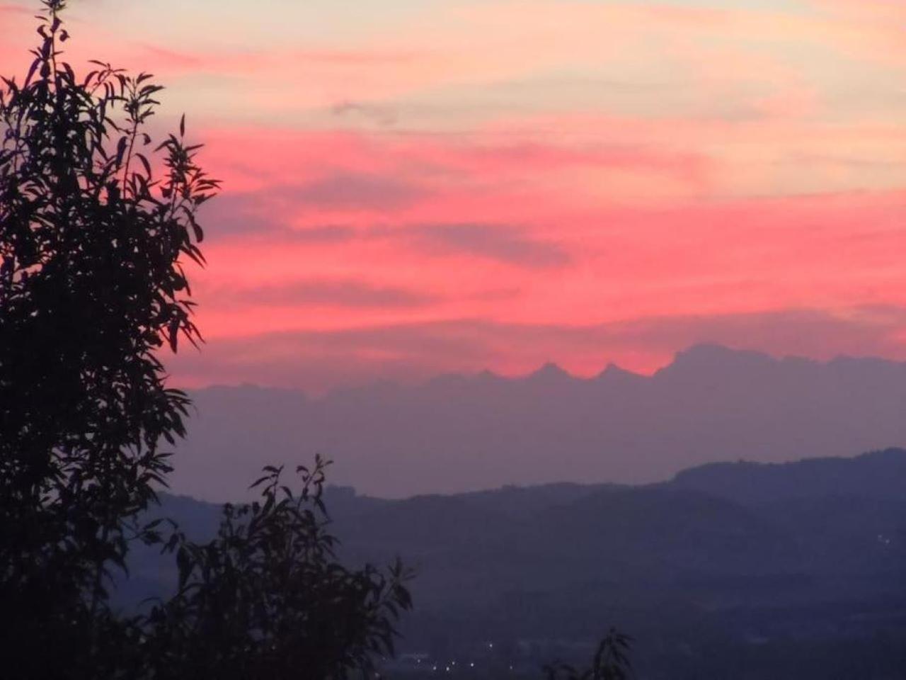 La Barberina Appartement Ozzano Monferrato Buitenkant foto